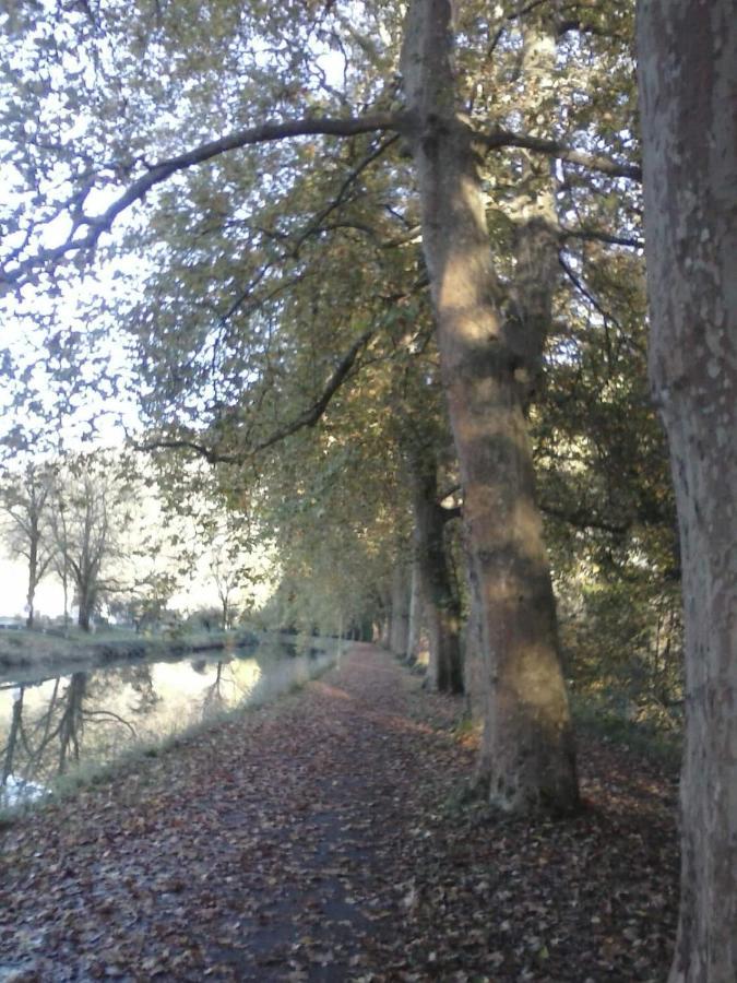 Gite 3 Etoiles "Entre Sources Et Riviere" Besancon Vaire-le-Grand エクステリア 写真